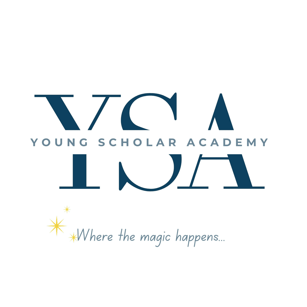 The Young Scholar Academy